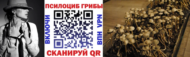 Галлюциногенные грибы MAGIC MUSHROOMS  Алдан 